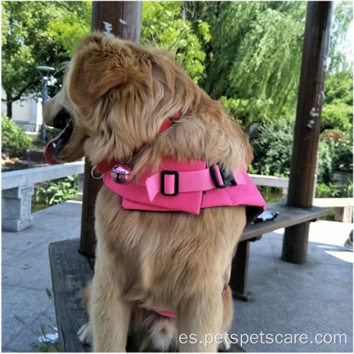 Chaleco de seguridad para natación de perros mascotas duraderas rosa roja